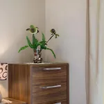 Flores Luxury Apartment *