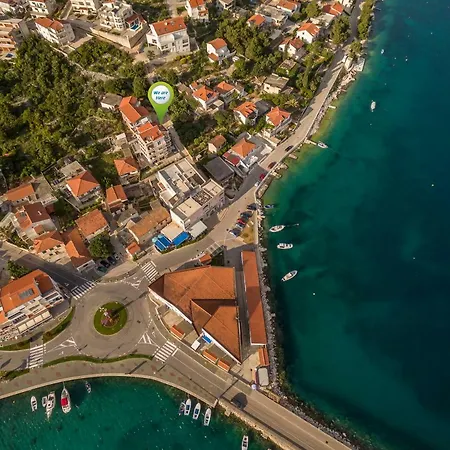 Flores Rogoznica (Sibenik-Knin)